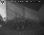 Capi_Dubne_20250710_223003.jpg
