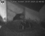 Capi_Dubne_20250710_224003.jpg