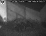 Capi_Dubne_20250710_224502.jpg