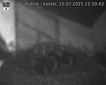 Capi_Dubne_20250710_225002.jpg