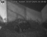 Capi_Dubne_20250710_231002.jpg