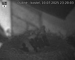 Capi_Dubne_20250710_232003.jpg