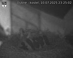 Capi_Dubne_20250710_232502.jpg