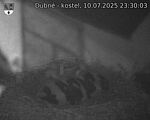 Capi_Dubne_20250710_233003.jpg