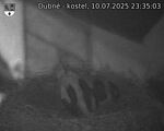 Capi_Dubne_20250710_233503.jpg