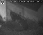 Capi_Dubne_20250710_234003.jpg