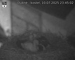Capi_Dubne_20250710_234502.jpg
