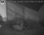 Capi_Dubne_20250710_235002.jpg