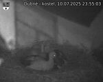 Capi_Dubne_20250710_235503.jpg