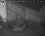 Capi_Dubne_20250711_000503.jpg