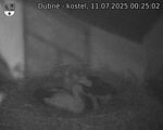 Capi_Dubne_20250711_002502.jpg