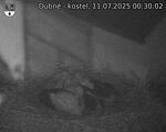 Capi_Dubne_20250711_003002.jpg