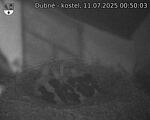 Capi_Dubne_20250711_005003.jpg
