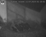 Capi_Dubne_20250711_011002.jpg