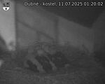 Capi_Dubne_20250711_012002.jpg