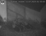 Capi_Dubne_20250711_015503.jpg