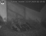 Capi_Dubne_20250711_021502.jpg