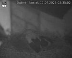 Capi_Dubne_20250711_023502.jpg