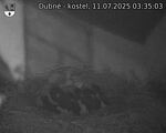 Capi_Dubne_20250711_033503.jpg