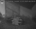 Capi_Dubne_20250711_043003.jpg