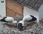 Capi_Dubne_20250711_132503.jpg