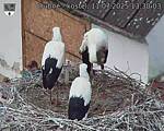 Capi_Dubne_20250711_133003.jpg