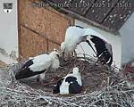 Capi_Dubne_20250711_133503.jpg