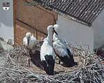 Capi_Dubne_20250711_151003.jpg