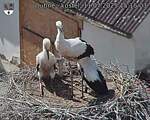 Capi_Dubne_20250711_151503.jpg