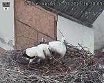 Capi_Dubne_20250711_163003.jpg