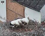 Capi_Dubne_20250711_163503.jpg