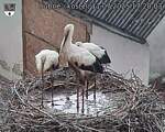 Capi_Dubne_20250711_172003.jpg
