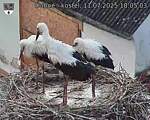 Capi_Dubne_20250711_180503.jpg