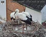 Capi_Dubne_20250711_182502.jpg