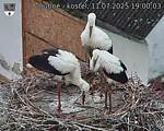 Capi_Dubne_20250711_190003.jpg