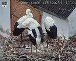 Capi_Dubne_20250711_191003.jpg