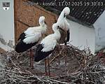 Capi_Dubne_20250711_193003.jpg