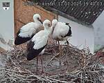 Capi_Dubne_20250711_194003.jpg