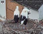Capi_Dubne_20250711_194503.jpg