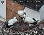 Capi_Dubne_20250711_201003.jpg