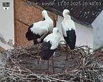Capi_Dubne_20250711_204003.jpg