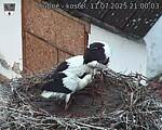 Capi_Dubne_20250711_210003.jpg