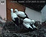 Capi_Dubne_20250711_211503.jpg