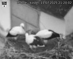 Capi_Dubne_20250711_212002.jpg