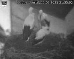 Capi_Dubne_20250711_213502.jpg