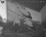 Capi_Dubne_20250711_214003.jpg
