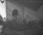 Capi_Dubne_20250711_215503.jpg