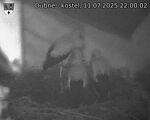 Capi_Dubne_20250711_220002.jpg
