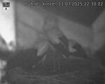 Capi_Dubne_20250711_223002.jpg