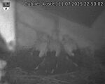 Capi_Dubne_20250711_225002.jpg